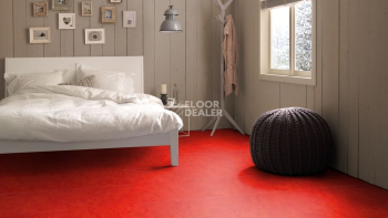 Marmoleum Click 333131 scarlet фото 2 | FLOORDEALER